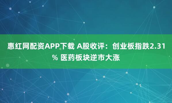惠红网配资APP下载 A股收评：创业板指跌2.31% 医药板块逆市大涨