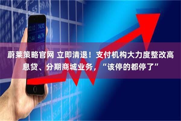 蔚莱策略官网 立即清退！支付机构大力度整改高息贷、分期商城业务，“该停的都停了”